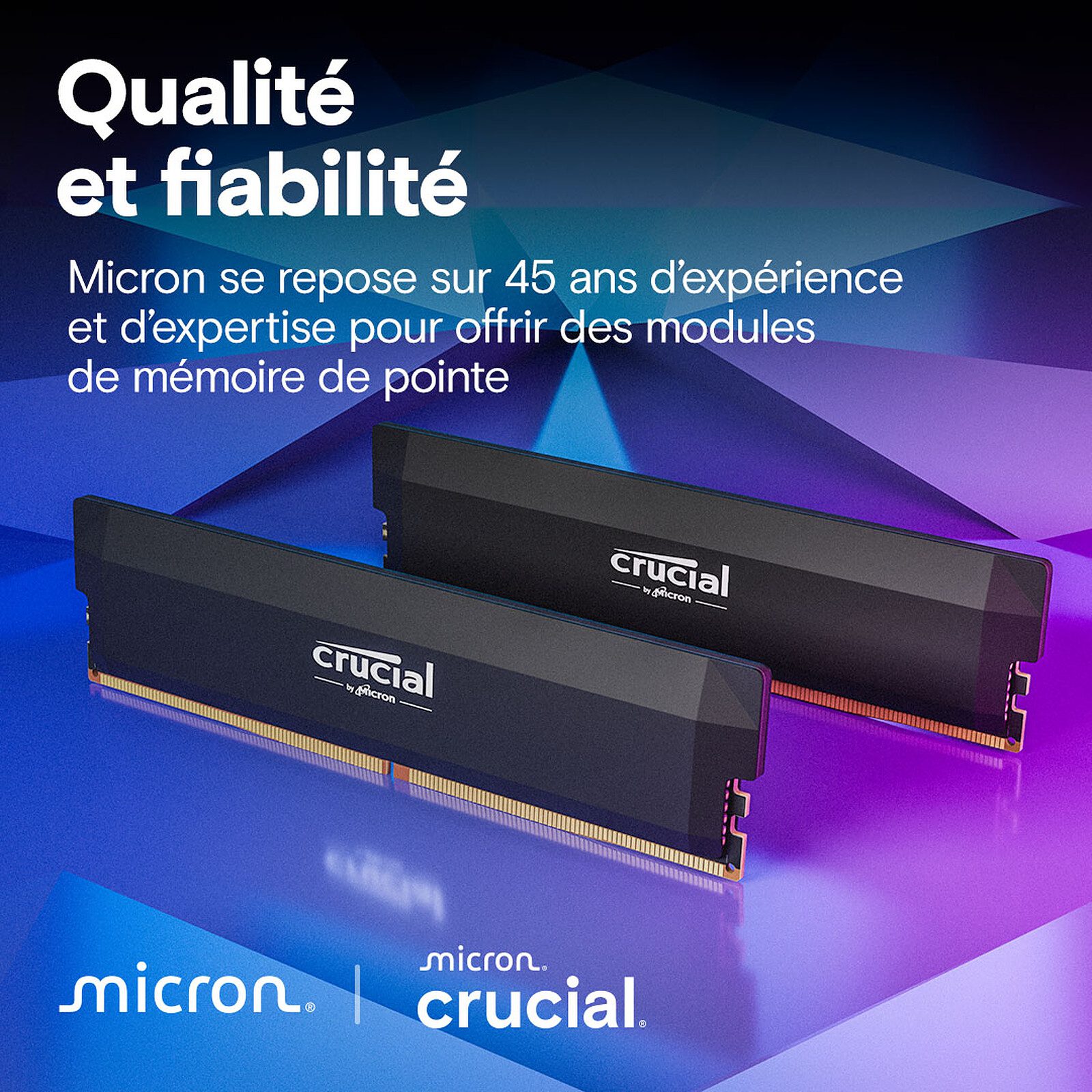 Crucial Pro DDR5 Overclocking 32 Go (2 x 16 Go) 6000 MHz CL36 Blanc 3 RAM Crucial DDR5 6000 MHz 32 Go