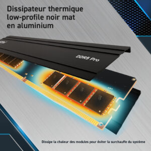 RAM Crucial DDR5 5600 MHz 64 Go