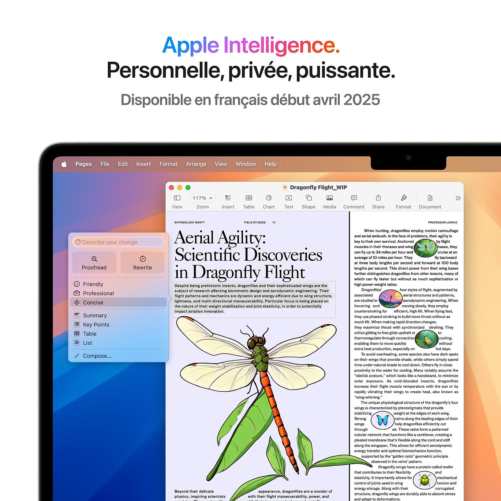 Apple MacBook Air M4 15 pouces (2025) Lumière stellaire 16Go/256 Go (MW1J3FN/A) 4 pc portable gamer Apple
