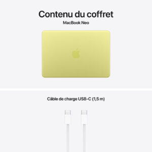 laptop Apple 8 Go